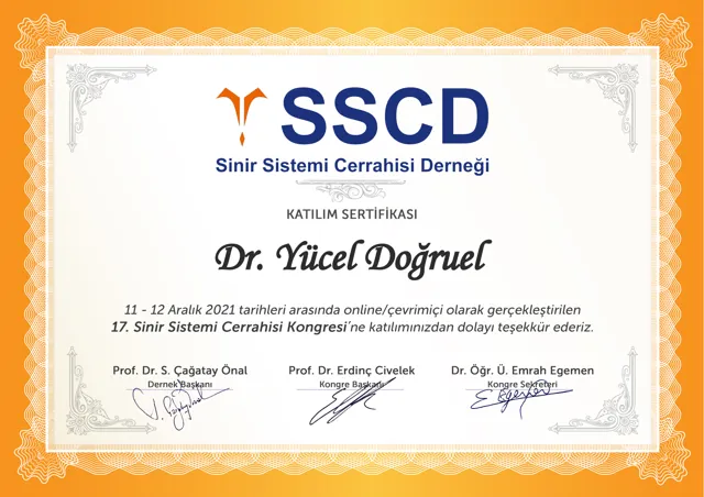 17th Nervous System Surgery Congress, certificate of attendance (online), 2021